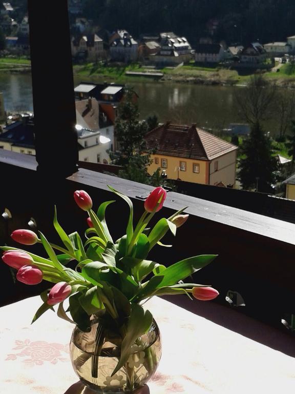 Wehlener Landhaus In Stadt Wehlen, Saechsische Schweiz Apartment Bagian luar foto