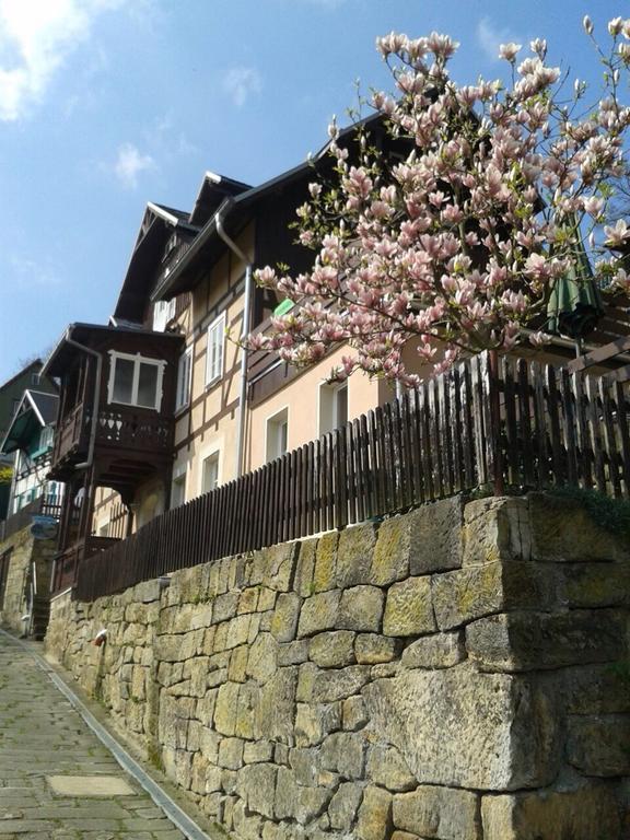 Wehlener Landhaus In Stadt Wehlen, Saechsische Schweiz Apartment Bagian luar foto